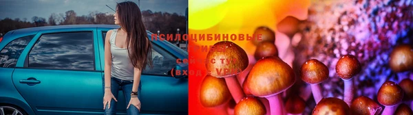 стаф Алексеевка