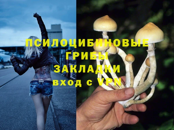 тгк Алексин