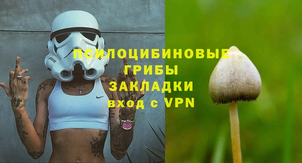 a pvp Алзамай