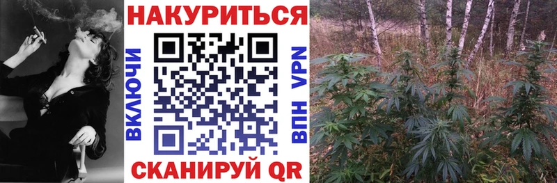 закладка  Аркадак  Шишки марихуана гибрид 